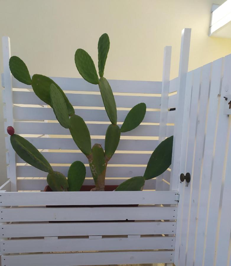 דירות Otrantocasa מראה חיצוני תמונה